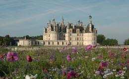 ChÃ¢teau de Chambord